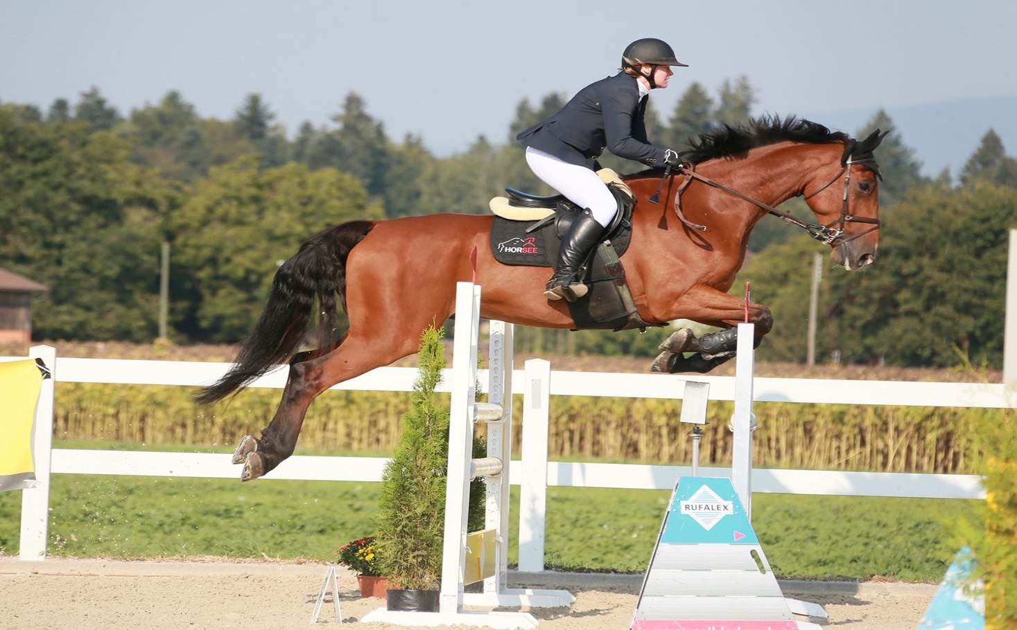 Rider on a bay horse clearing a jump at a show-jumping competition